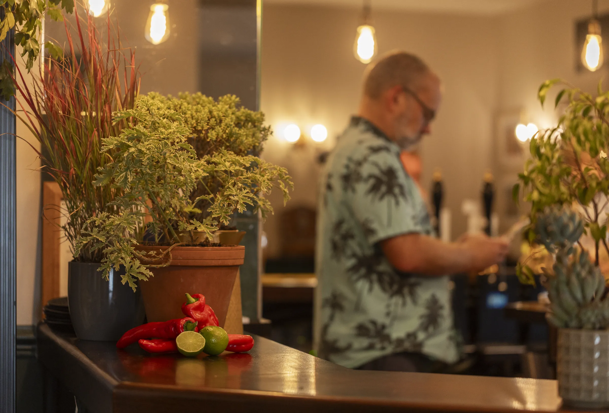 Chillies, limes and plants on the bar, with the bartender in a palm-print shirt