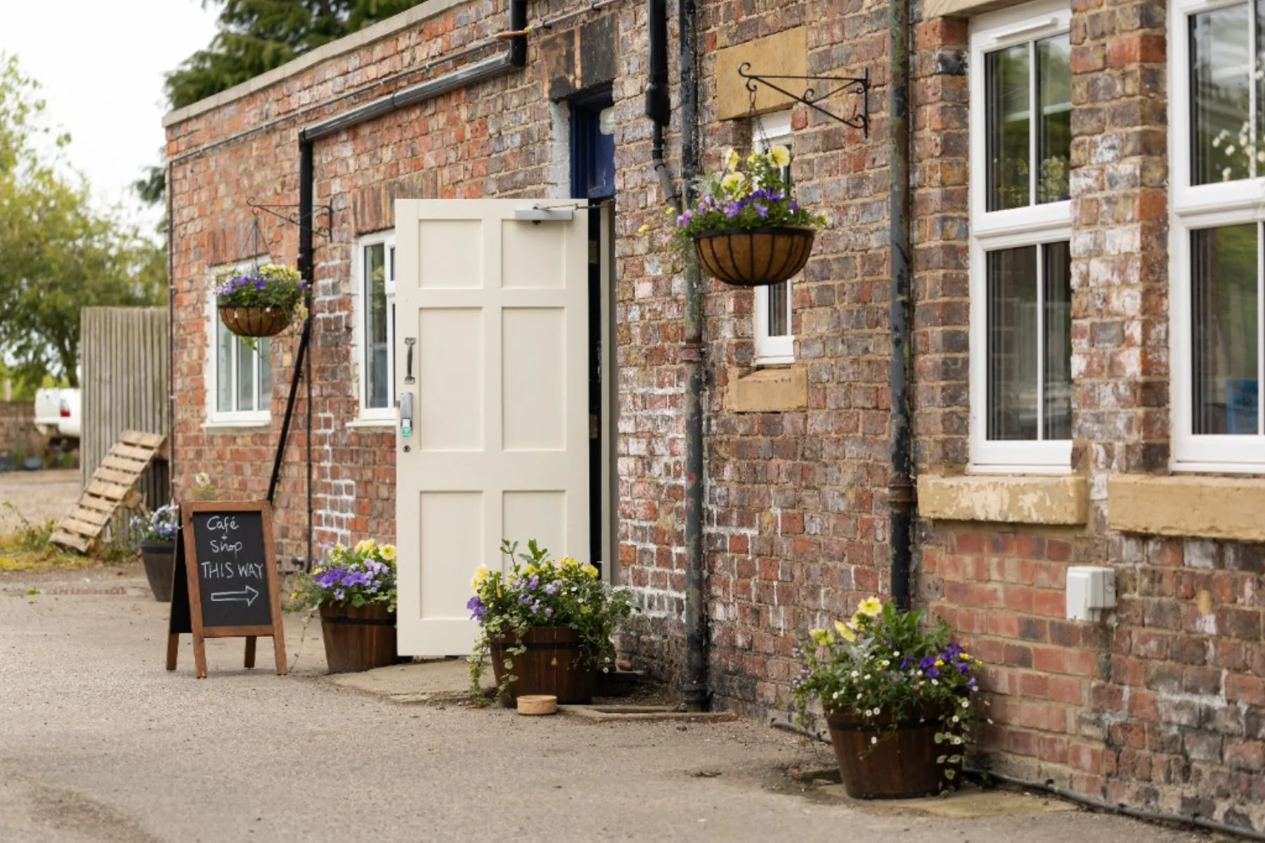 Hanging baskets and barrel planters along the brick wall beside the garden